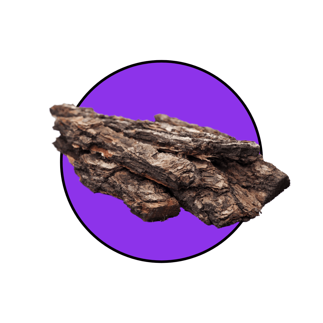 العود- متجر تحفة